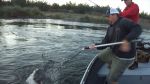 Tripe F Guide Service trips on the Sacramento River